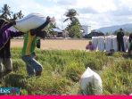 HPA Sigi Imbau Pemda Cek Ketersediaan Pangan di Tengah Corona Menjelang Puasa