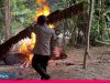 Video : Pergoki Sedang Produksi Miras, Pabrik Cap Tikus di Morowali Dibakar