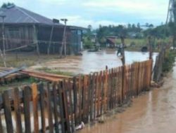 Sungai Lombosa Meluap, Desa Olu Kabupaten Sigi Dihantam Banjir