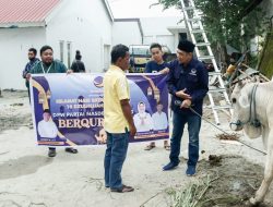 DPW NasDem Sulteng Bagikan 12 Ekor Sapi kepada Masyarakat