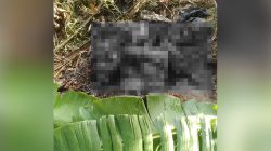 Mayat Perempuan dalam Kondisi Terbakar Ditemukan Warga di Desa Sidondo I Sigi